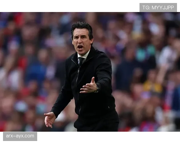 维拉转会策略解析：引援聚焦年轻潜力，阵容深度持续提升